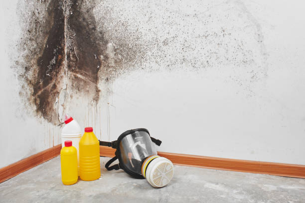 Crawl Space Mold Removal in Raleigh Hills, OR