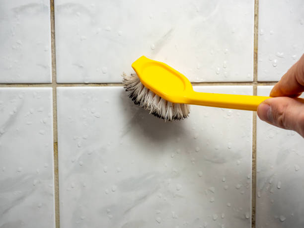 Best Home Mold Removal  in Raleigh Hills, OR