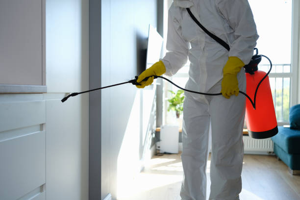 Best Mold Testing  in Raleigh Hills, OR