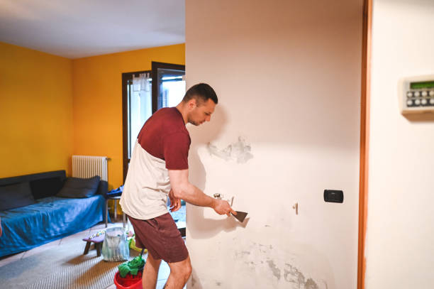 Best Mold Damage Repair  in Raleigh Hills, OR